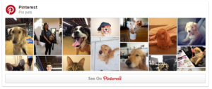 How-to-Embed-a-Pinterest-Board-on-Your-Website-Quick-Tip-300x127-1-VIER super tips voor je website