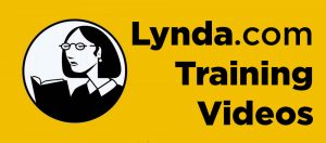 lynda com access 300x132 1 Online marketing opleidingen-7 manieren om je kennis bij te spijkeren