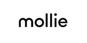 mollie brand d457ae745a69bf3515bd65503088aabd 800 Mollie WooCommerce plug-in